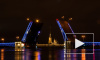 На Дворцовом мосту включат подсветку во время китайского Нового года