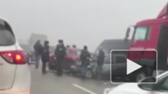 Видео: На трассе "Дон" более 20 машин столкнулись из-за тумана