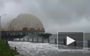 В Китае супертайфун "Лекима" унес жизни 44 человек