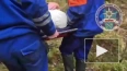 В Гатчинском районе спасатели вывели из леса женщину ...
