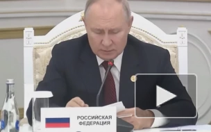 Путин:  Россия может удовлетворить потребности партнеров по СНГ в продовольствии