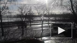 Видео со звуком: в Петербурге прошла проверка системы оповещения населения