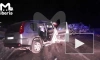 На Алтае в ДТП погибли пять человек