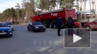 Во Всеволожском районе водитель сбил троих детей и женщину