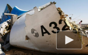 Крушение самолета в Египте: версии трагедии, новые подробности авиакатастрофы