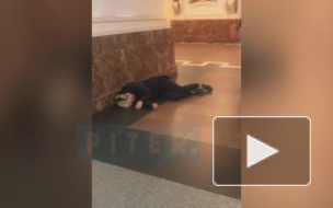 Молодой человек потерял сознание после драки на станции "Маяковская"