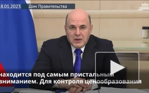 В 2023 году на Федеральное казначейство не будут распространяться ограничения на проверки