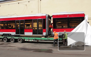 Дыхание Петербурга: вести предпоследней недели июля