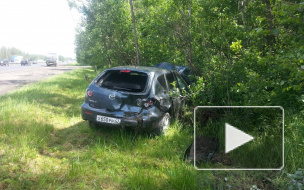 Пожилой водитель убежал от полиции на костылях после ДТП под Петербургом