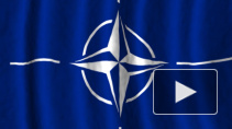 СМИ: НАТО рушится под ударами коронавируса
