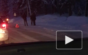 На Выборгском шоссе большегруз столкнулся с легковушкой