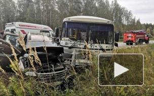 Актер Дмитрий Жулин погиб в ДТП во Владимирской области 