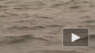 Большеохтинский мост