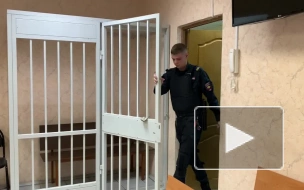 В Чехове внук зарубил деда и неделю находился в доме с трупом