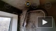В подмосковном Красногорске взорвался газ в жилом доме