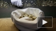В Петербурге продают жетоны на метро по 20 рублей