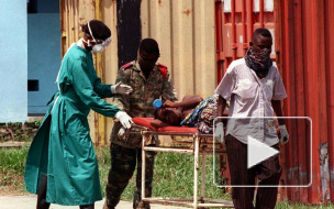 Эпидемия лихорадки Эбола бушует в Африке, уже заразились два американских врача