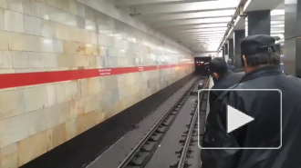В метро "Проспект Ветеранов" на рельсы упал нетрезвый петербуржец