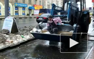 Коммунальщикам удалось скрестить гастарбайтера c трактором