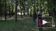 В парке Ленина провели обследование деревьев