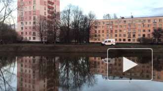 Забавное видео: в Кировском районе мужчина переплыл реку и на острове ждёт помощи спасателей