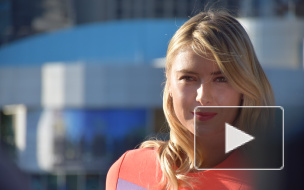 Шарапова, Овечкин и Шнур стали самыми богатыми знаменитостями России