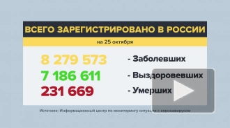 В России выявлено максимальное с начала пандемии число случаев заражения COVID-19