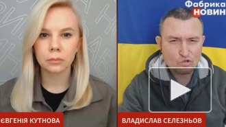 "Все земли": украинский полковник сделал отчаянное заявление
