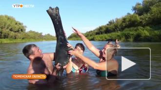 В Тюменской области нашли кладбище мамонтов