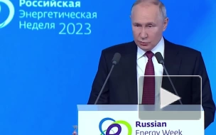 Путин: российские энергоносители много лет обеспечивали благополучие Европы