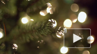 В МЧС рассказали об опасности новогодних елок