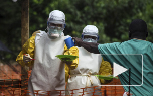 Последние новости: вирус лихорадки Эбола вышел из-под контроля, тысячи заболевших и умерших