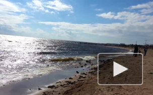 Во время шторма в Финском заливе спасли семью на тонувшем катере