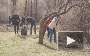 В юбилейном субботнике приняли участие почти 250 тысяч петербуржцев