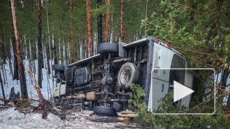 На Приморском шоссе автобус с тремя людьми съехал в кювет и перевернулся 