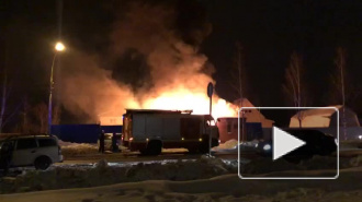 Видео: в Усть-Ижоре горит автомастерская