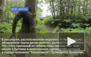 В лесу рядом с Авиагородком нашли трупы двоих мужчин
