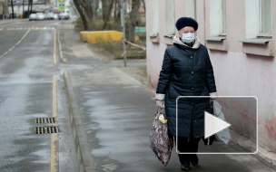 В СПЧ предложили ввести пропуска пожилым людям для поездок на дачу
