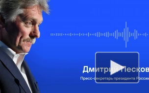Песков заявил, что тема Украины на переговорах делегаций России и США в Стамбуле не обсуждается