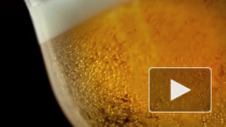 ФТС не ожидает перебоев с поставками импортного алкоголя к Новому году