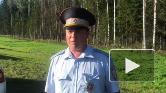 В Выборгском районе "Хендай" вылетела в кювет: есть пострадавшие