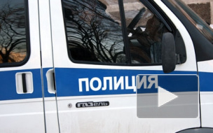 Перепивший петербуржец сломал руку полицейскому на Витебском проспекте