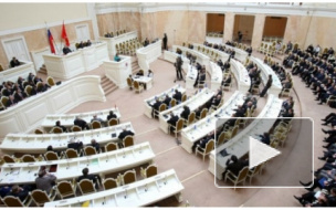 Депутаты Законодательного собрания Петербурга предлагают увеличить штрафы за незаконное использование земли