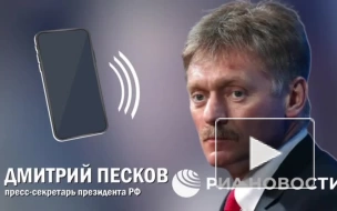 Песков прокомментировал информацию о возможной отставке Залужного