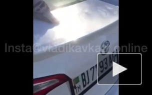 Проснись, брат: житель Владикавказа 1 января привел в чувства голубя