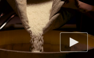 Россия вводит временный запрет на экспорт круп