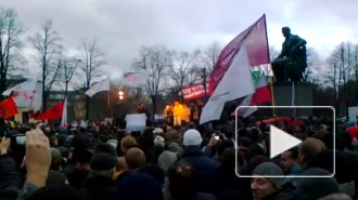 Выступление Артемия Троицкого на митинге