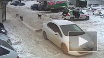 Шокирующее видео: в Самаре автомобиль переехал собаку и уехал дальше
