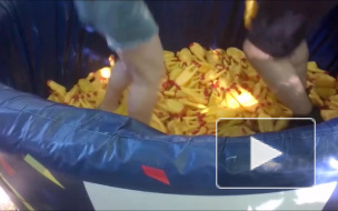 Участники GEEK PICNIC купались в бассейне с кричащими курицами