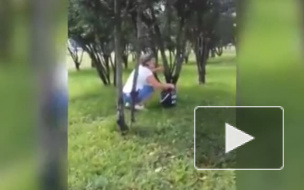 Видео: учителей Татарстана заставляют мыть деревья